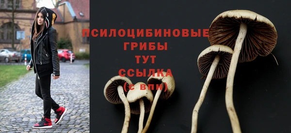 амфетамин Алексеевка