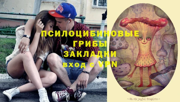 амфетамин Алексеевка