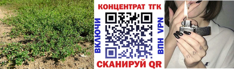 Дистиллят ТГК гашишное масло  Лесной 