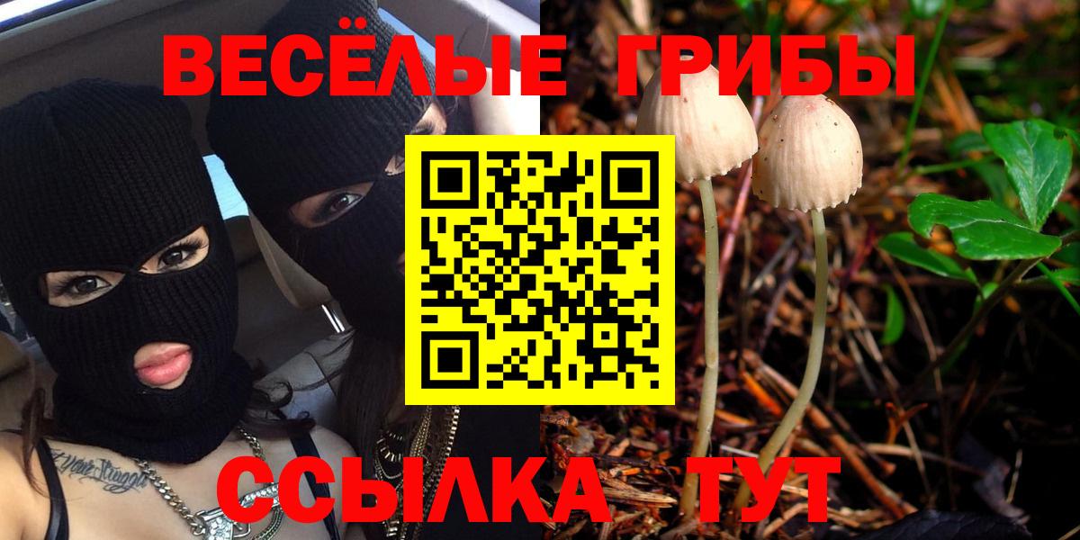 Псилоцибиновые грибы Cubensis  Вход с VPN  Лесной 